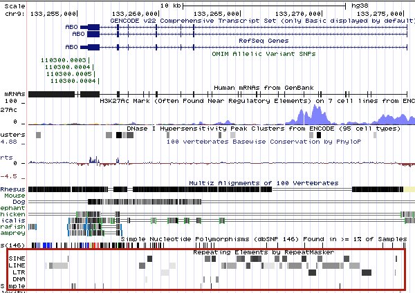 Repeats in UCSC Genome Browser display