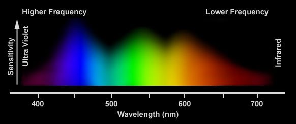 Color sensitivity