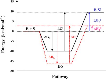 Thermodynamics